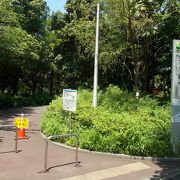 公園内にシーボルトの胸像があります。