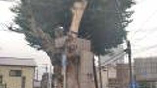 相模の中心に佇む古老のような存在