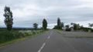 新栄の丘展望公園