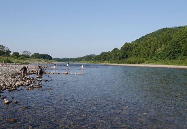 魚がはねるはねる。