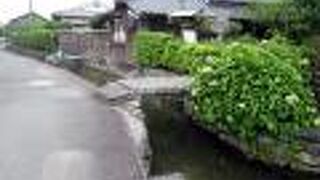 ここは津和野かな？