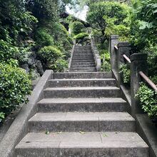 これは序の口です