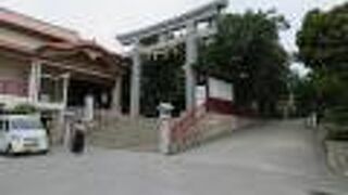 崖の上に見えました