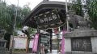 春に訪れたい名前してますね〜。