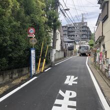 ここから見ると曲がっているようには見えない