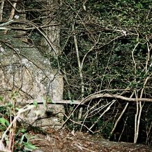 磨崖不動明王像付近の巨石。何か彫られているようにも見える。