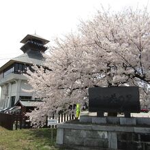 ちょうど桜の時期でした