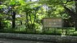 のんびりと散歩するには最適の庭園