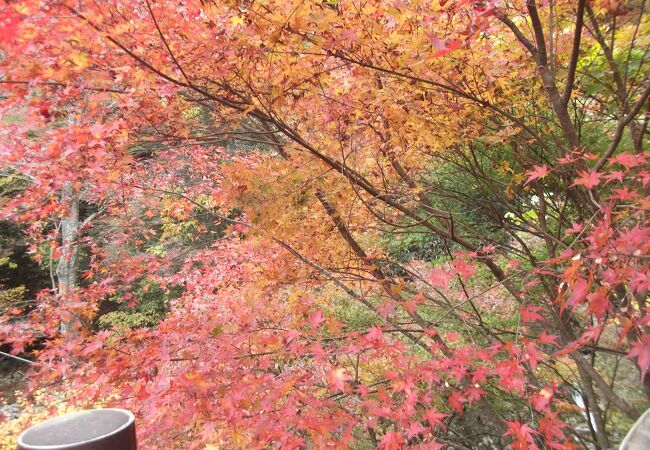 花園神社 茨城県北茨城市 クチコミ アクセス 営業時間 北茨城 磯原 フォートラベル