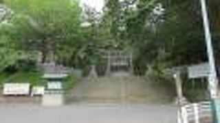 階段結構あるよ