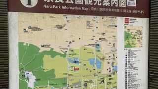 奈良公園　