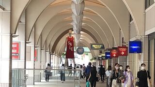 せっかく見に行ったのに