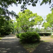 空気がとても新鮮な公園