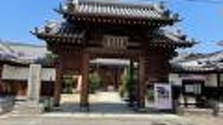 蛸にまつわる話が