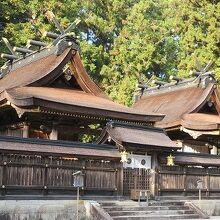 檜皮葺の社殿が重厚さを感じさせます