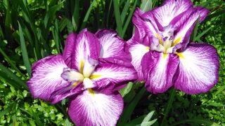 平日で混雑なし