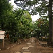 木々が多い公園