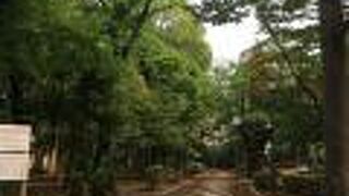 木々が多い公園
