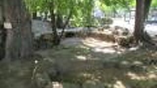 平和大通りの緑地帯の中