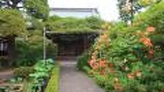 手入れされた木々