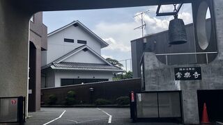 見どころがない