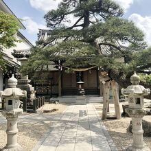 和の風情が良い