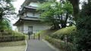 皇居東御苑内からだと高さ、巨大さが判りません