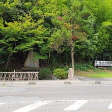 雰囲気が目立ちます