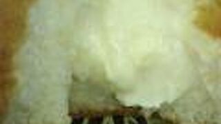 かまくらカスター