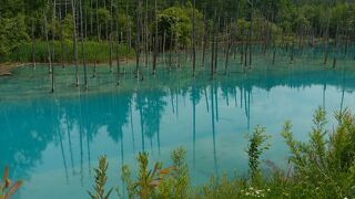 天候によって青さは左右される