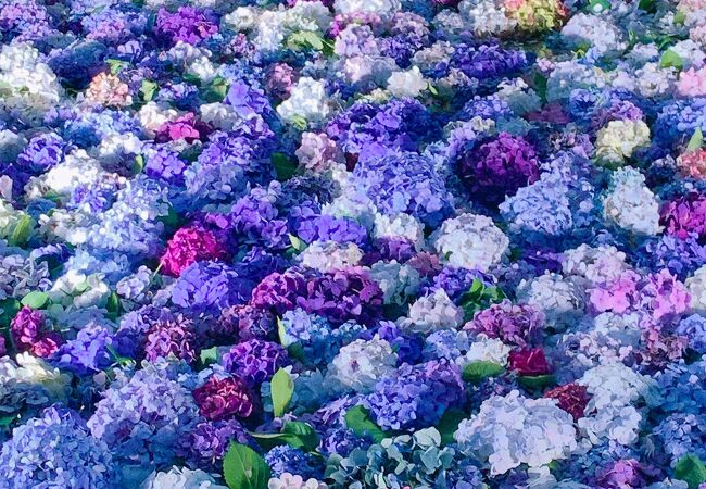 桜川のおすすめ観光スポット クチコミ人気ランキングtop19 フォートラベル 茨城県 桜川のおすすめ観光スポット クチコミ人気ランキングtop19 フォートラベル 茨城県
