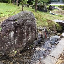 水のきれいな公園を歩きました(•‿•)