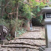 杉林と石畳が風情があります