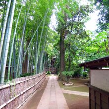 妙福寺 / Myofuku-ji temple