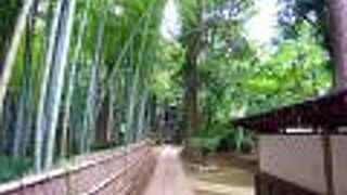 A very quiet temple, perfect for a stroll around Senzoku Pond