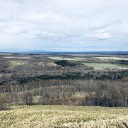 北海道らしい風景が広がる