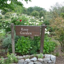 早速右手に進んでローズガーデンへ