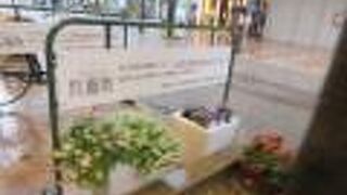 お店がいっぱい