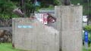 アジ釣りのファンも多い