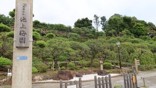 花の時期以外は入園料の意味なし