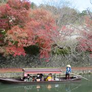 紅葉や桜の季節が