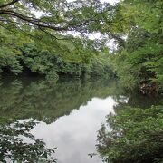  渋沢丘陵ハイキング途中、震生湖に寄りました