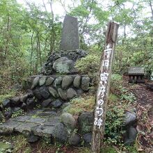 震生湖寺田寅彦句碑