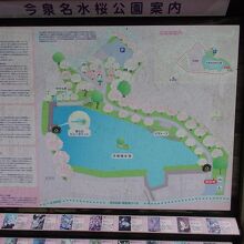 今泉名水桜公園案内図