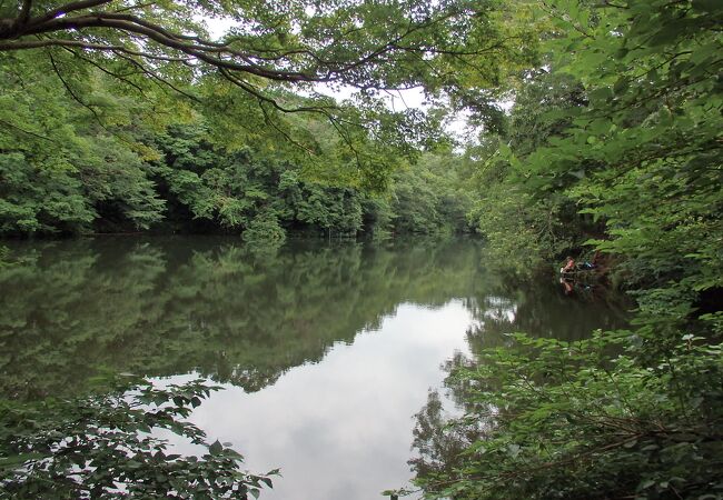  渋沢丘陵ハイキング途中、震生湖に寄りました