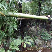 白笹稲荷神社竹の手水