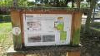 登呂遺跡のある