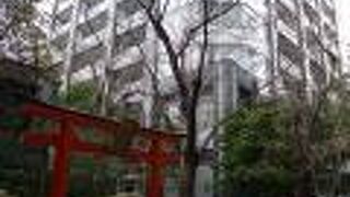 桜の花も少し開いていました