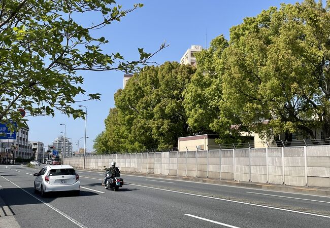 基地側に歩道なし