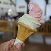 コケモモのソフトクリーム